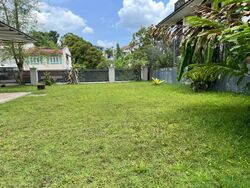 Adelphi Park Estate (D20), Detached #545586431